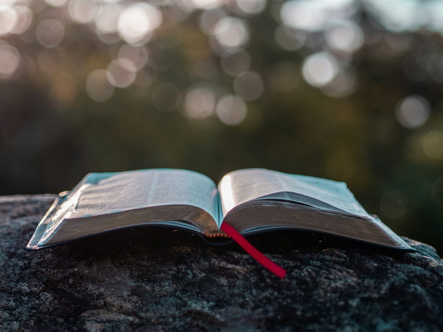 The Torah: A Shared Foundation Between Judaism and Christianity